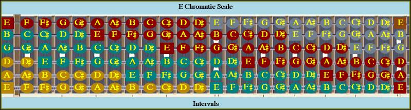 E Chromatic Octave Colored