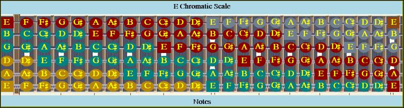 E Chromatic Octave Colored